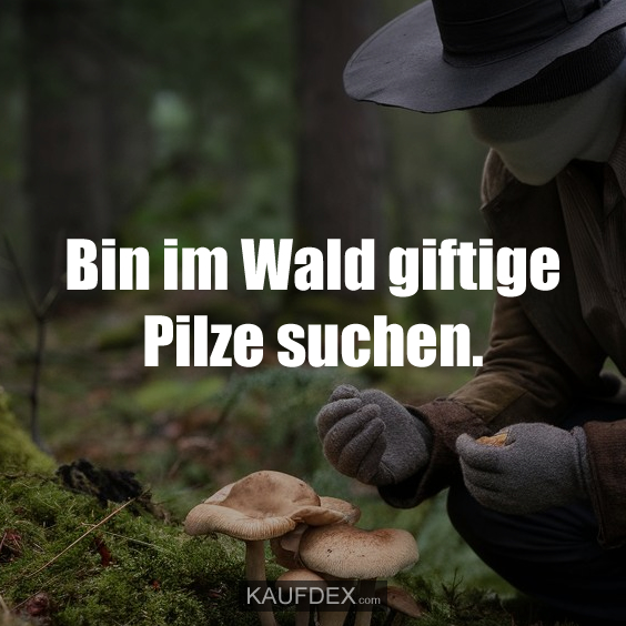 Bin im Wald giftige Pilze suchen