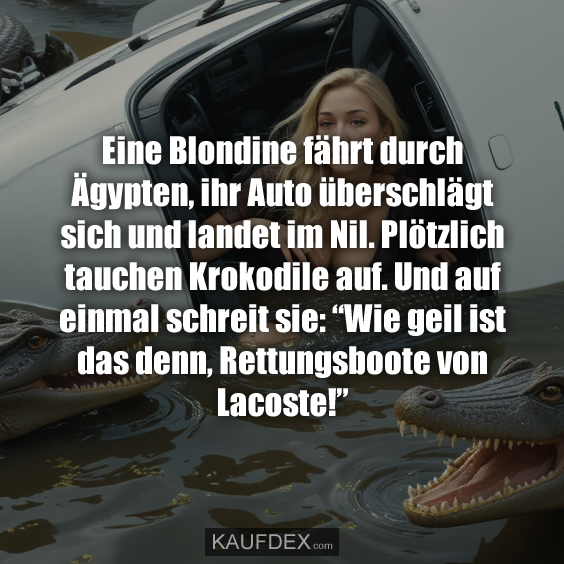 Eine Blondine fährt durch Ägypten, ihr Auto überschlägt sich…