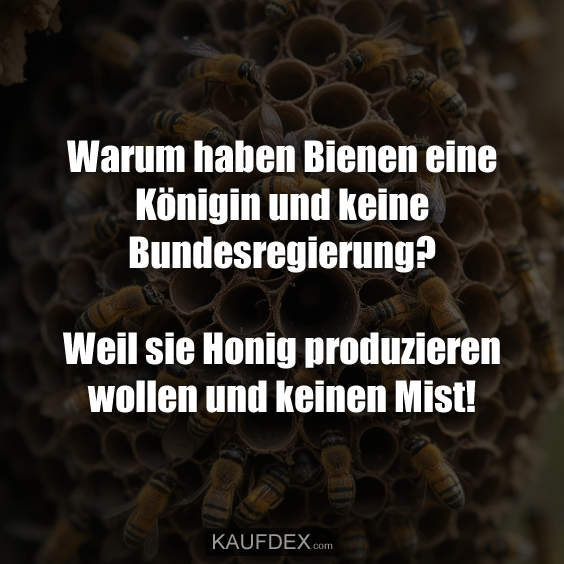 Warum haben Bienen eine Königin und keine Bundesregierung?