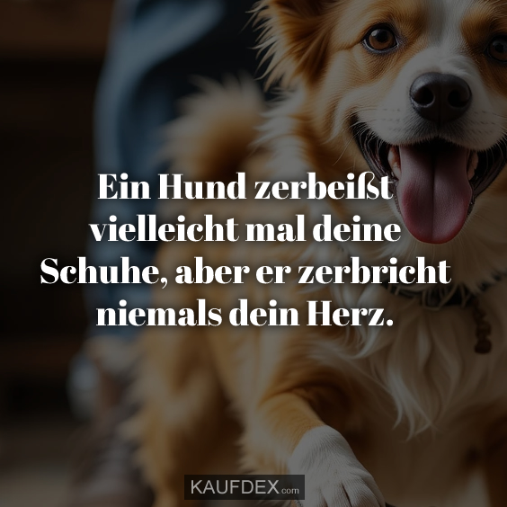 Ein Hund zerbeißt vielleicht mal deine Schuhe, aber er zerbricht…