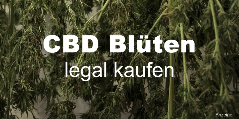 CBD Blüten – legales Cannabis kaufen