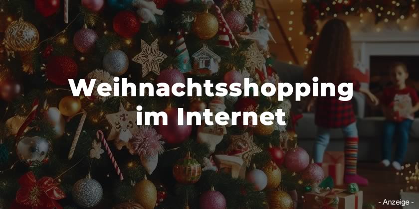 Weihnachtsshopping im Internet