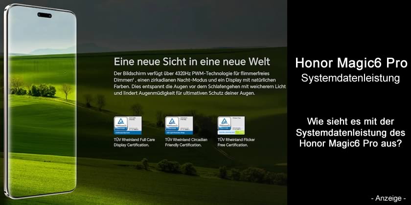 Wie sieht es mit der Systemdatenleistung des Honor Magic6 Pro aus?