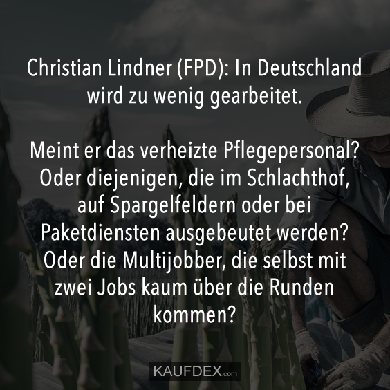 Christian Lindner (FPD): In Deutschland wird zu wenig gearbeitet…