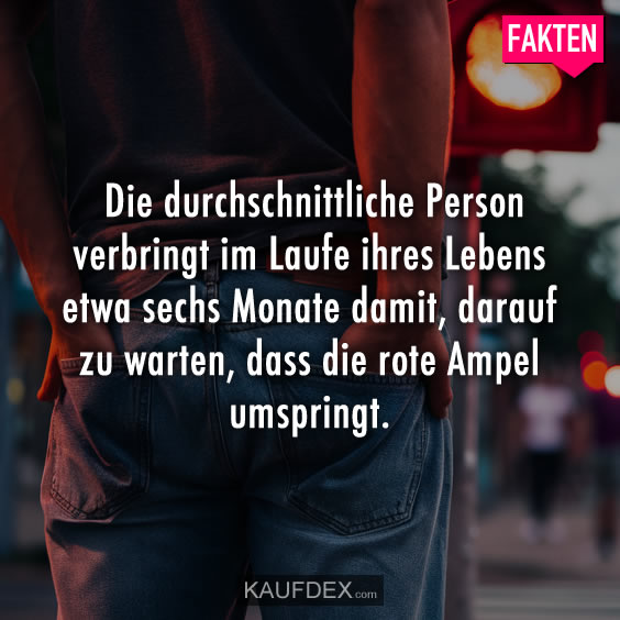 Die durchschnittliche Person verbringt im Laufe ihres Lebens etwa sechs Monate damit…