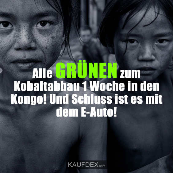 Alle GRÜNEN zum Kobaltabbau 1 Woche in den Kongo!