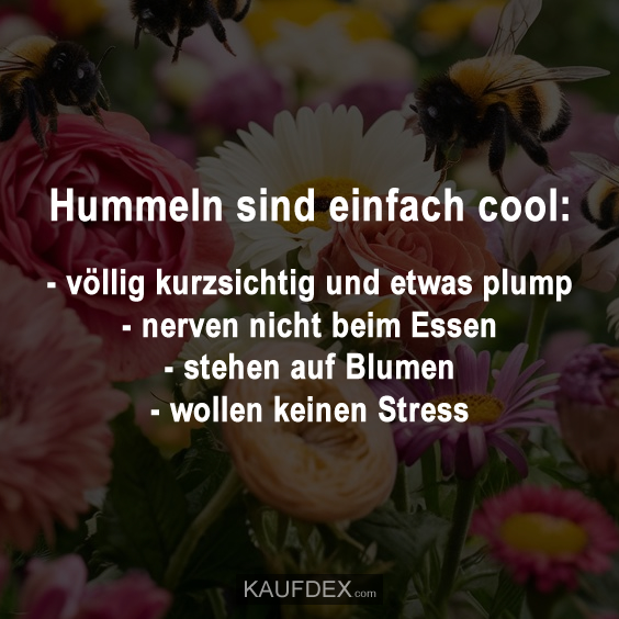 Hummeln sind einfach cool: