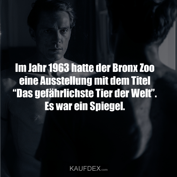 Im Jahr 1963 hatte der Bronx Zoo eine Ausstellung mit dem Titel “Das gefährlichste Tier der Welt”…