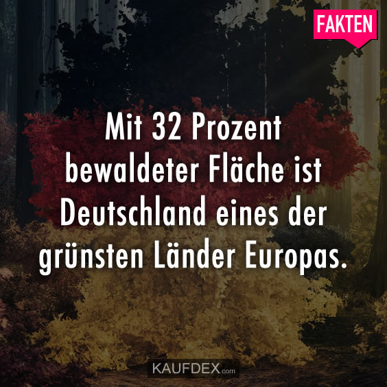 Mit 32 Prozent bewaldeter Fläche ist Deutschland…