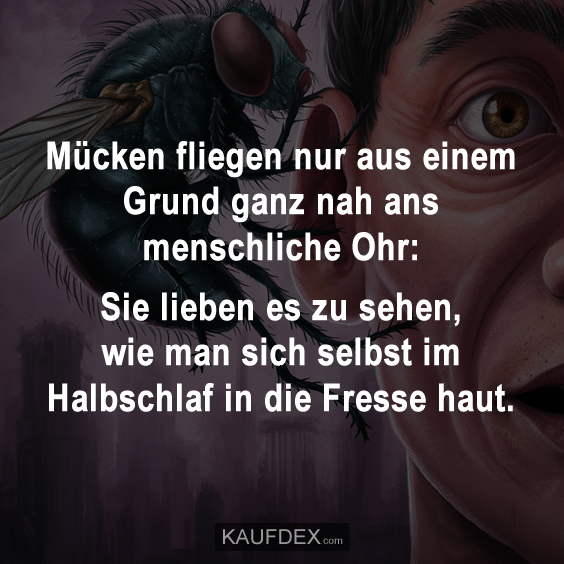 Mücken fliegen nur aus einem Grund ganz nah ans menschliche Ohr: