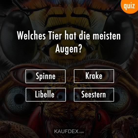 Welches Tier hat die meisten Augen?