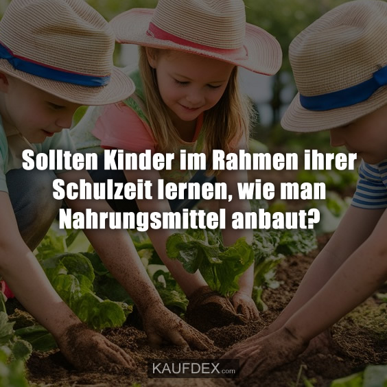 Sollten Kinder im Rahmen ihrer Schulzeit lernen…