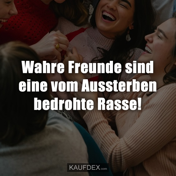 Wahre Freunde sind eine vom Aussterben bedrohte Rasse!