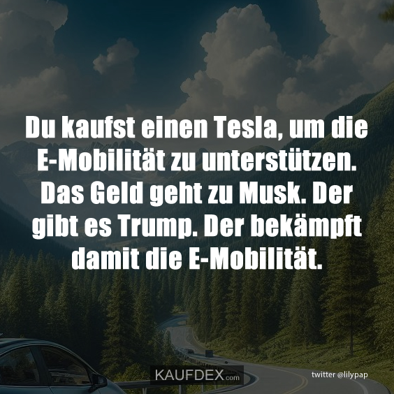 Du kaufst einen Tesla, um die E-Mobilität…