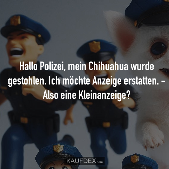 Hallo Polizei, mein Chihuahua wurde gestohlen…