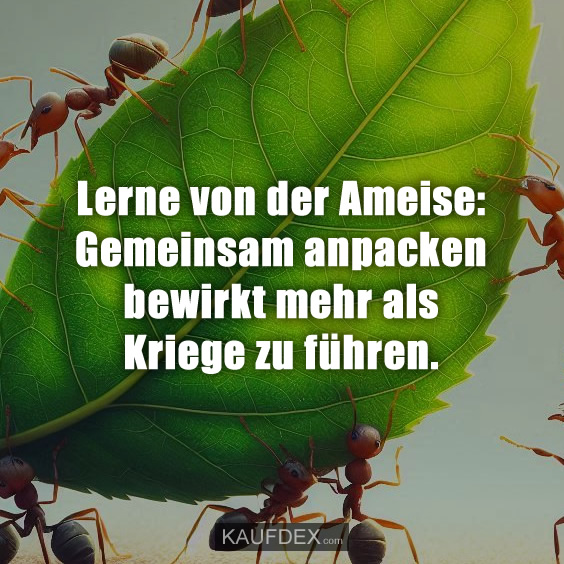 Lerne von der Ameise: