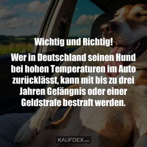 Wer in Deutschland seinen Hund bei hohen Temperaturen im Auto…