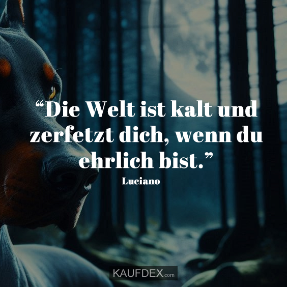 “Die Welt ist kalt und zerfetzt dich, wenn du ehrlich bist.”