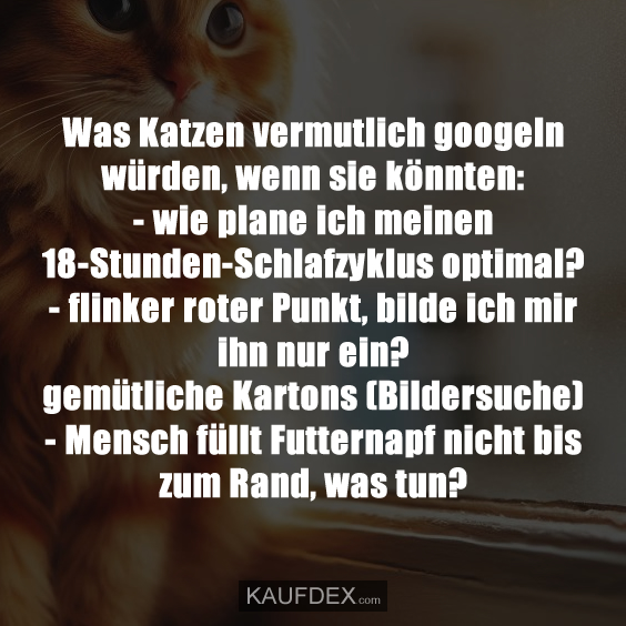 Was Katzen vermutlich googeln würden…