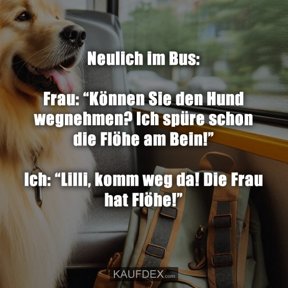 Neulich im Bus: Frau: “Können Sie den Hund wegnehmen?