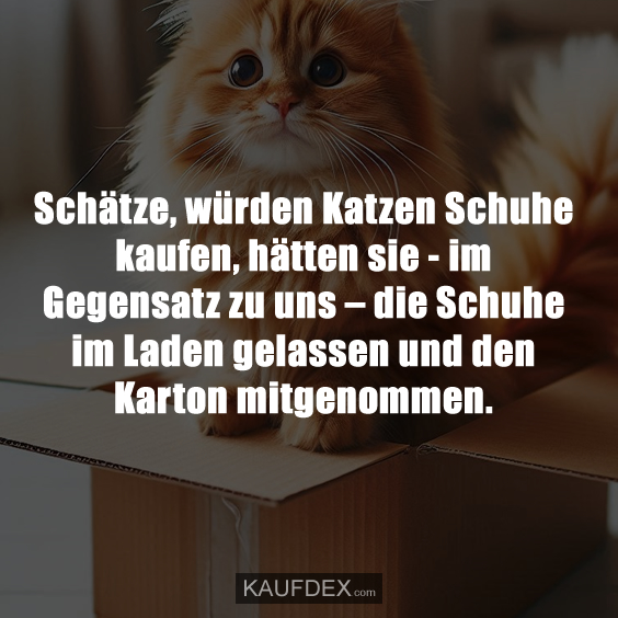 Schätze, würden Katzen Schuhe kaufen, hätten sie…