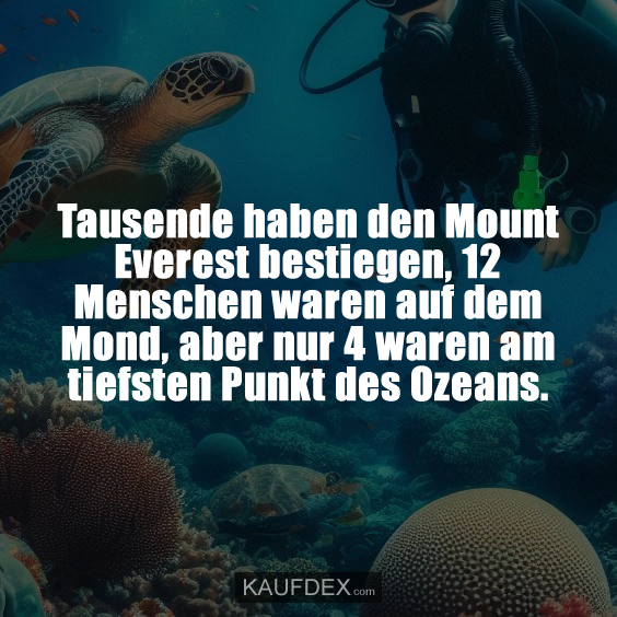 Tausende haben den Mount Everest bestiegen…