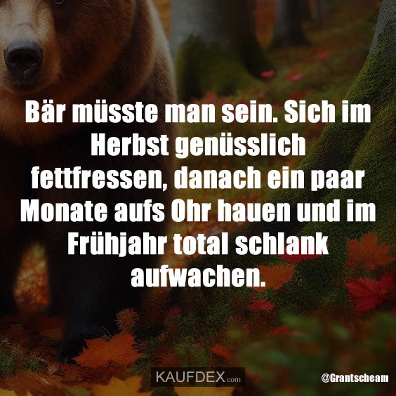 Bär müsste man sein. Sich im Herbst genüsslich fettfressen…