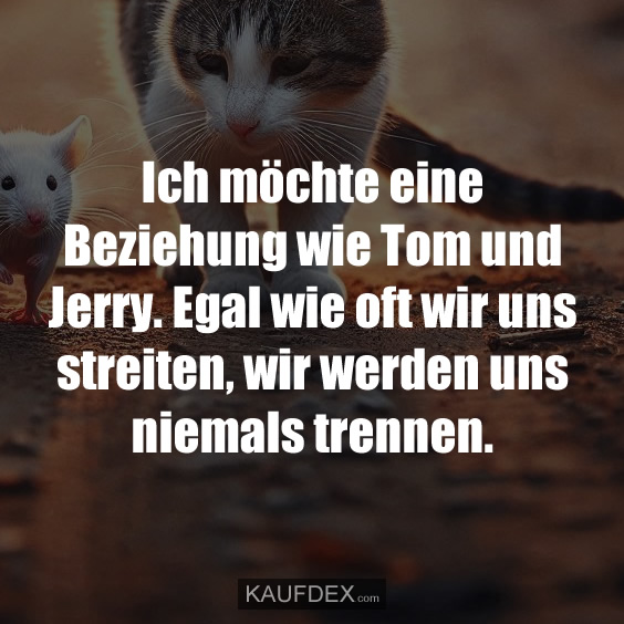 Ich möchte eine Beziehung wie Tom und Jerry…