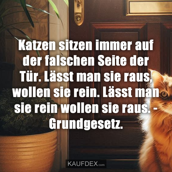 Katzen sitzen immer auf der falschen Seite der Tür…