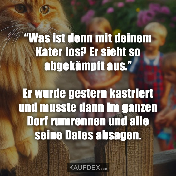 “Was ist denn mit deinem Kater los? Er sieht so abgekämpft aus.”