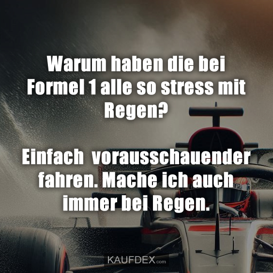 Warum haben die bei Formel 1 alle so stress mit Regen?