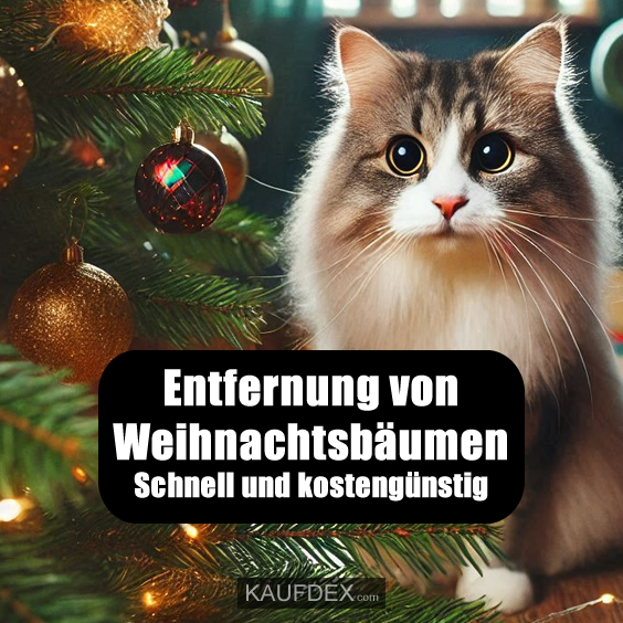 Entfernung von Weihnachtsbäumen Schnell und kostengünstig