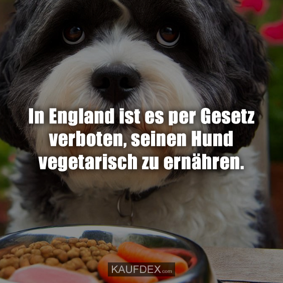 In England ist es per Gesetz verboten…