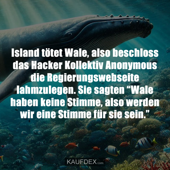 Island tötet Wale, also beschloss das Hacker Kollektiv…