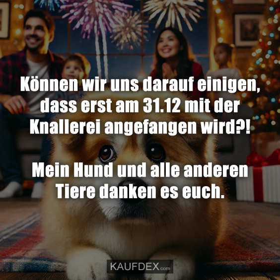 Können wir uns darauf einigen, dass erst am 31.12 mit der Knallerei…