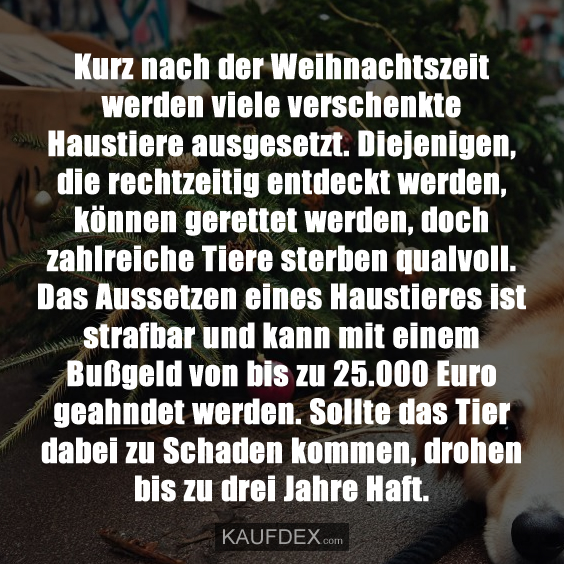 Kurz nach der Weihnachtszeit werden viele verschenkte…