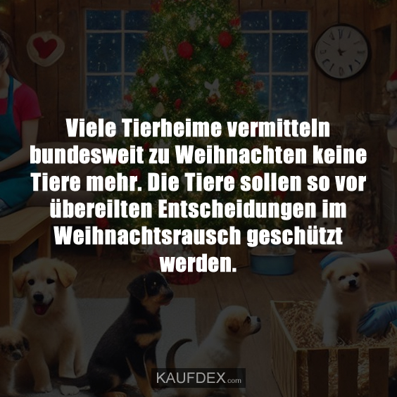 Viele Tierheime vermitteln bundesweit zu Weihnachten keine Tiere mehr…