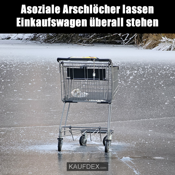 Asoziale Arschlöcher lassen Einkaufswagen überall stehen.