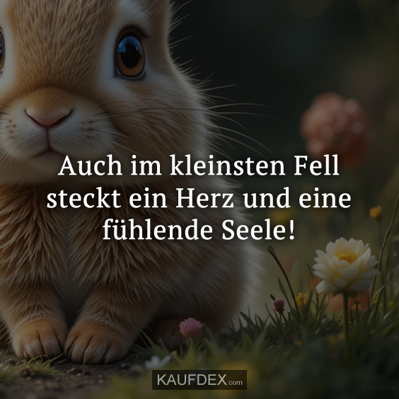 Auch im kleinsten Fell steckt ein Herz und eine fühlende Seele!