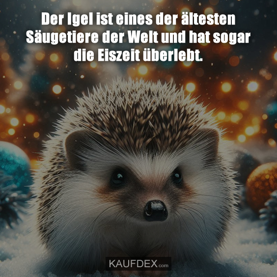 Der Igel ist eines der ältesten Säugetiere der Welt…