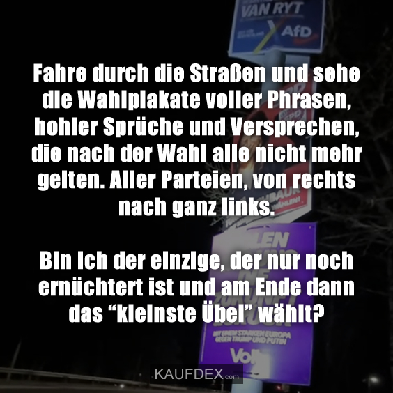 Fahre durch die Straßen und sehe die Wahlplakate…