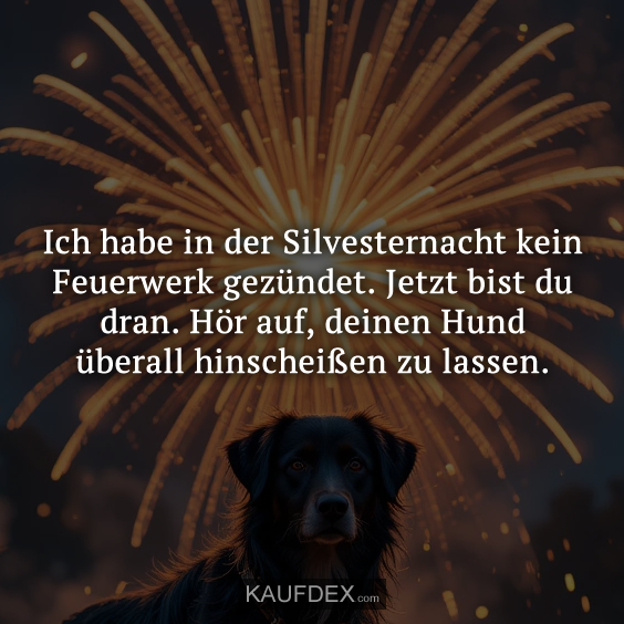 Ich habe in der Silvesternacht kein Feuerwerk gezündet…