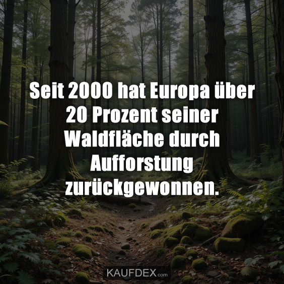 Seit 2000 hat Europa über 20 Prozent seiner…