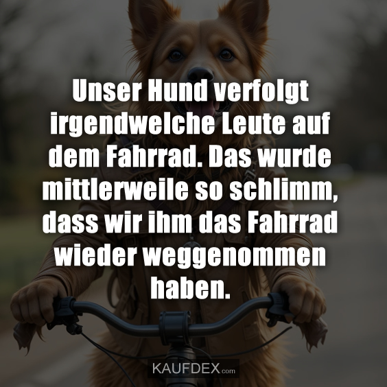 Unser Hund verfolgt irgendwelche Leute auf dem Fahrrad…