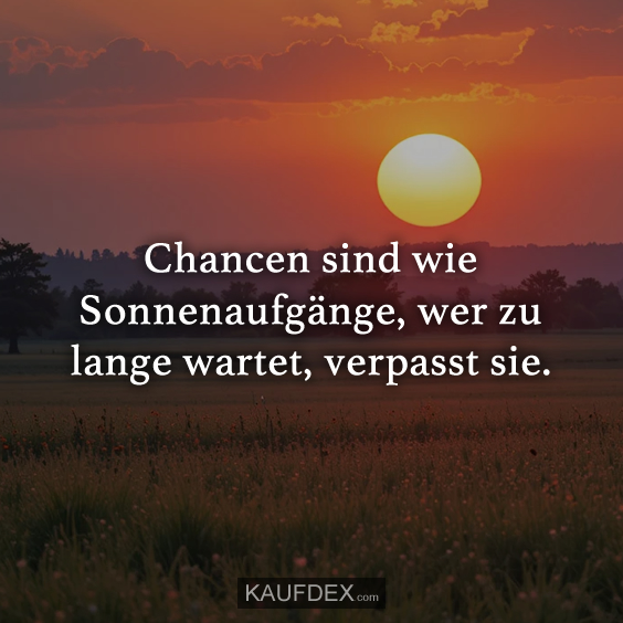 Chancen sind wie Sonnenaufgänge, wer zu lange wartet, verpasst sie.