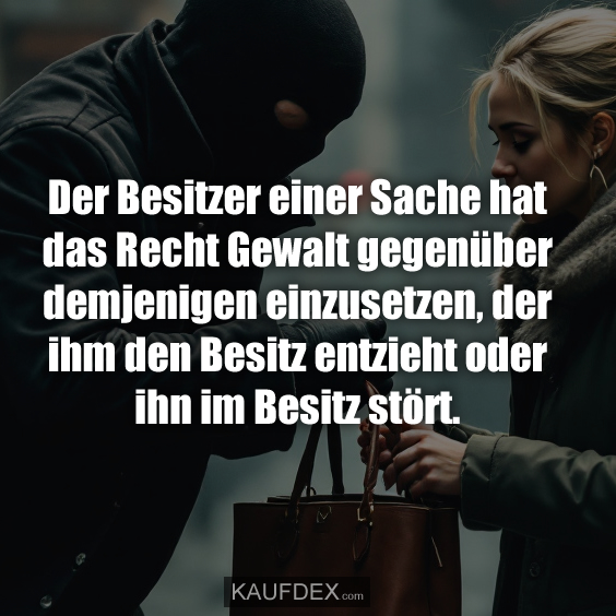 Der Besitzer einer Sache hat das Recht Gewalt gegenüber demjenigen einzusetzen…