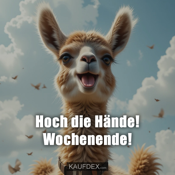 Hoch die Hände! Wochenende!