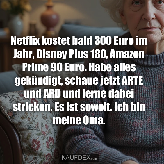 Netflix kostet bald 300 Euro im Jahr, Disney Plus 180…