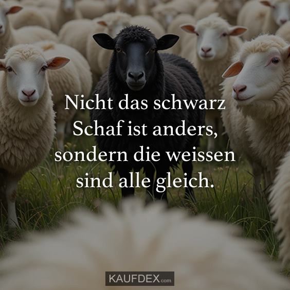 Nicht das schwarz Schaf ist anders…