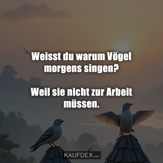 Weisst du warum Vögel morgens singen?